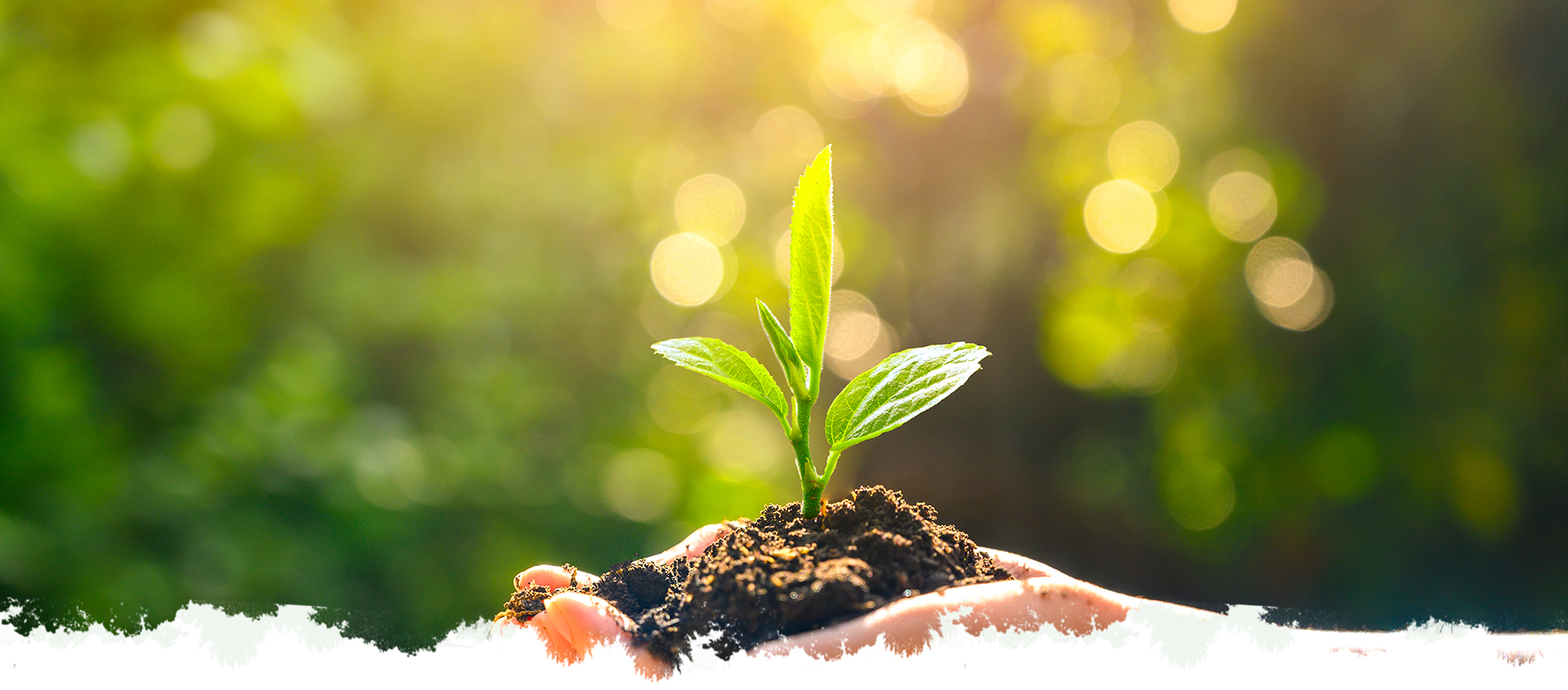 mg冰球突破(中国区)官方网站