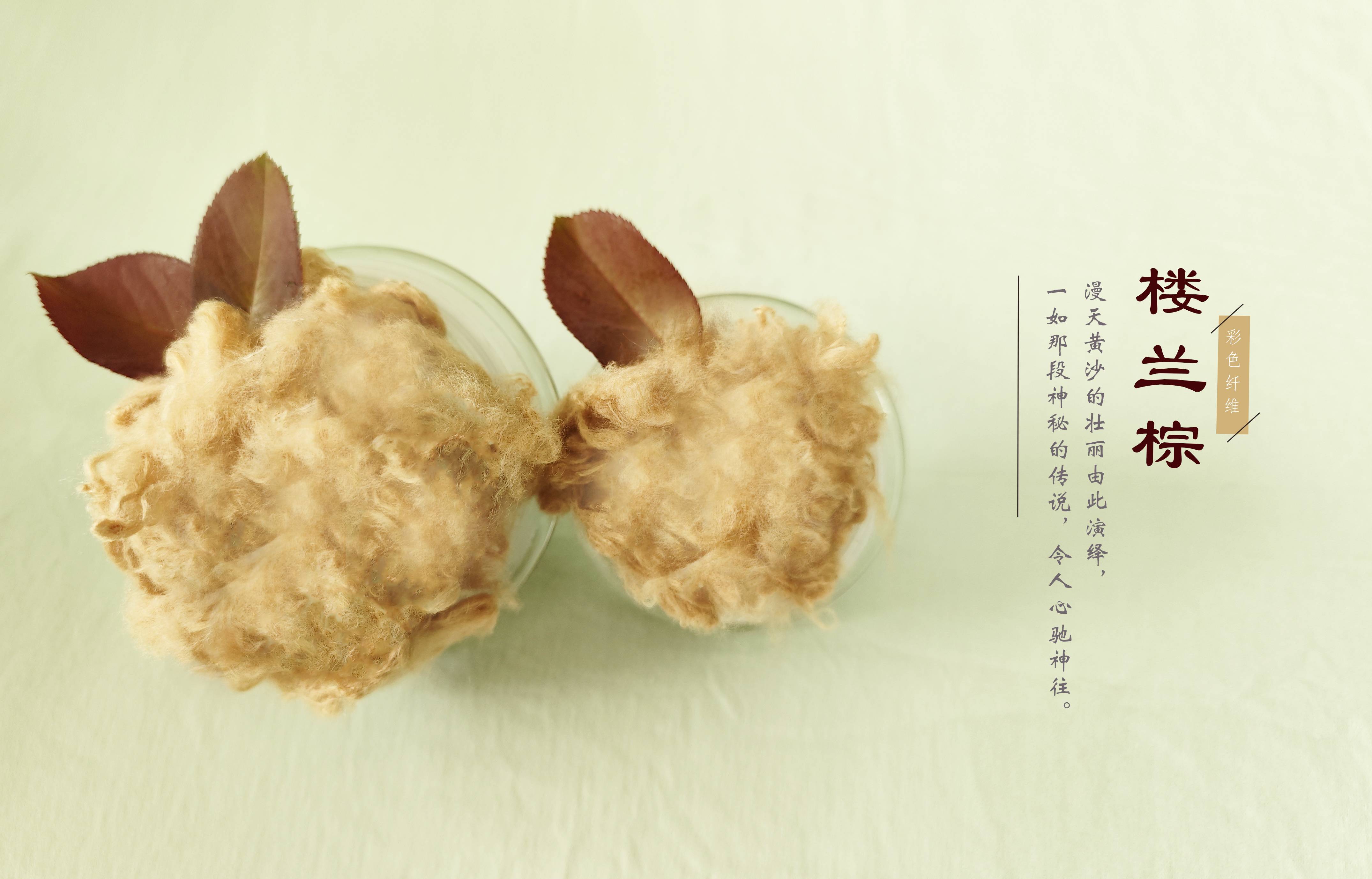 mg冰球突破(中国区)官方网站