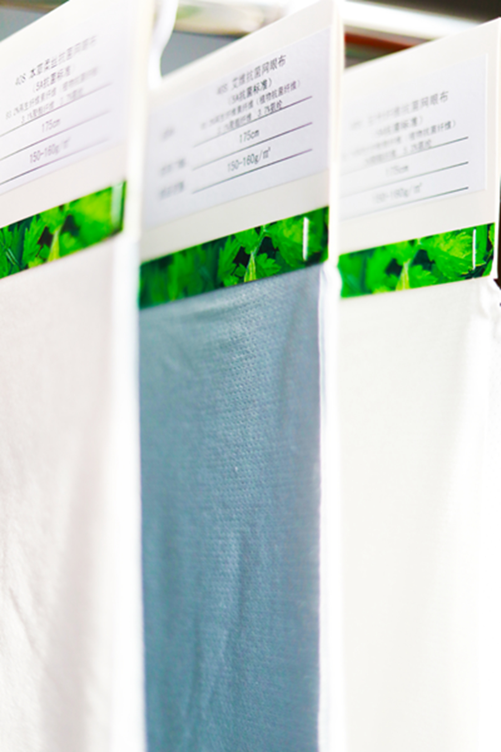 mg冰球突破(中国区)官方网站