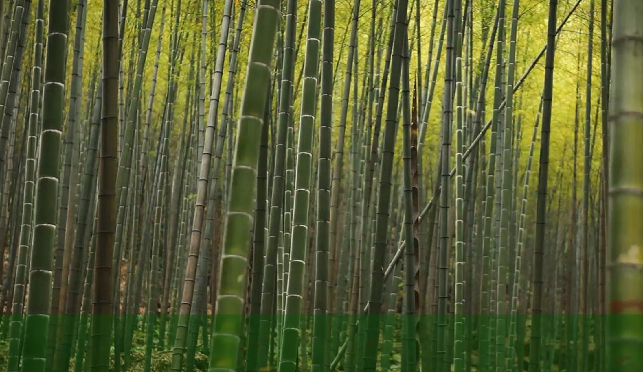 mg冰球突破(中国区)官方网站