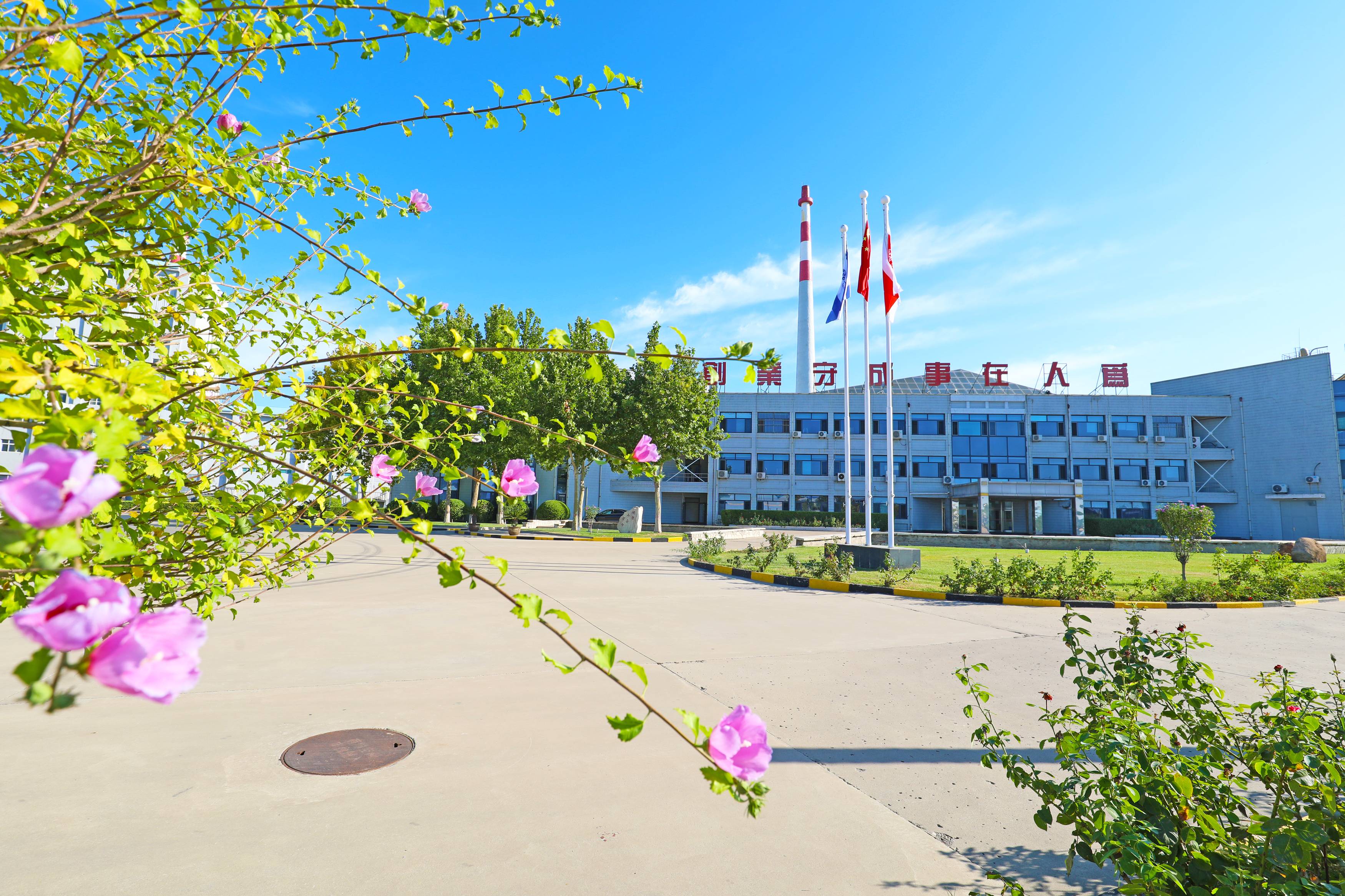 mg冰球突破(中国区)官方网站